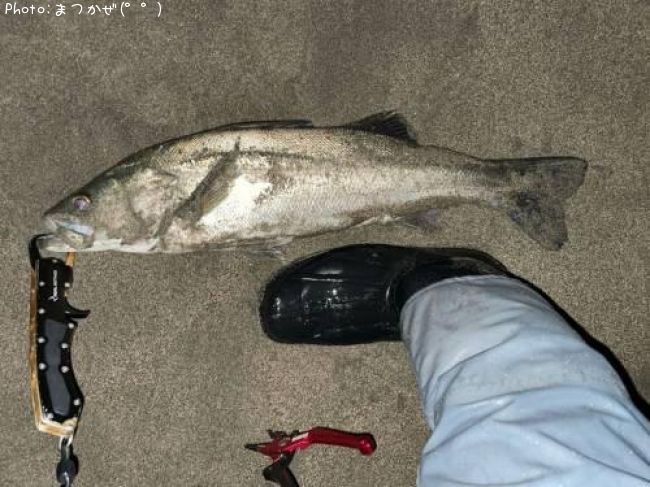 �����Х�