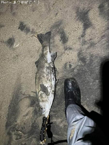 �����Х�