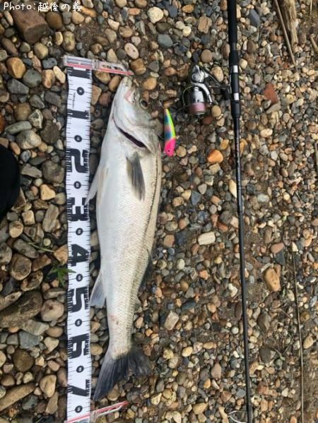 �����Х�