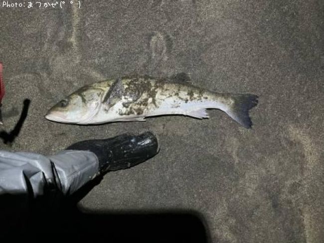 �����Х�