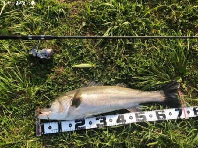 �����Х�