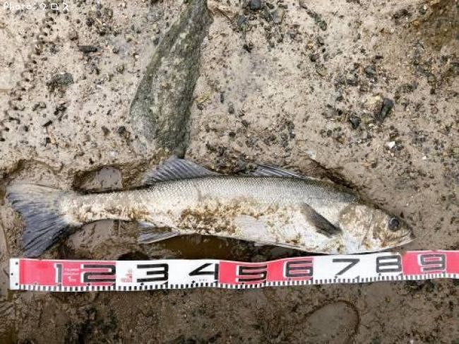 �����Х�