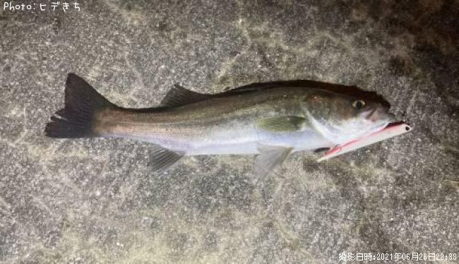 �����Х�