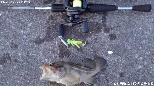 ���ޥ���