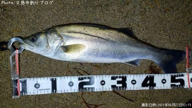 �����Х�