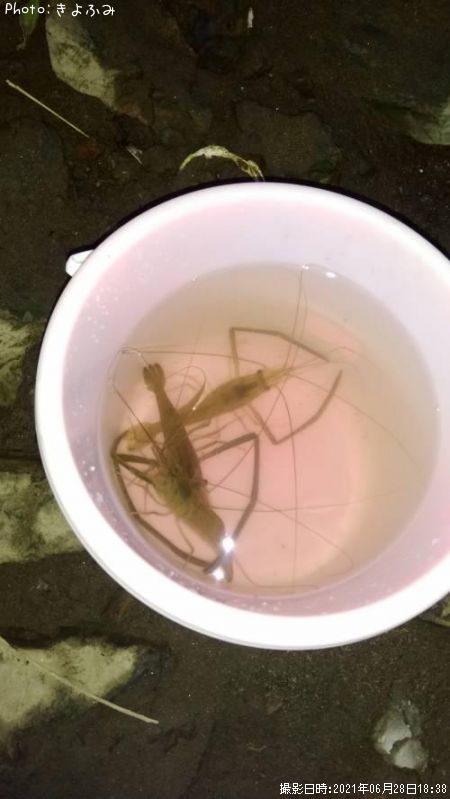 �ƥʥ�����