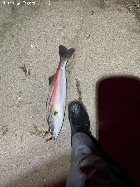 �����Х�