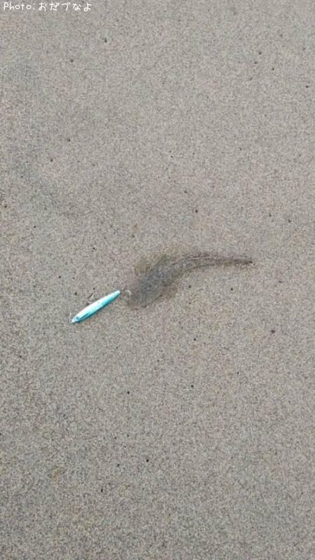 ���襤���ޥ���