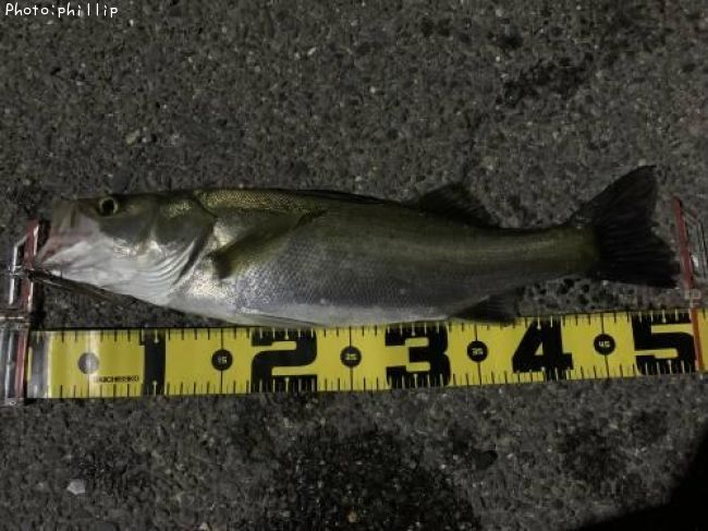 �����Х�