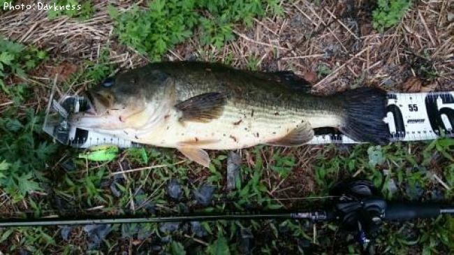 �֥�å��Х�