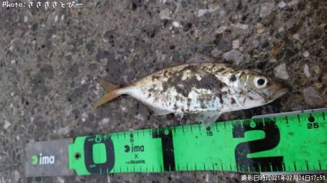 ���������С����亮