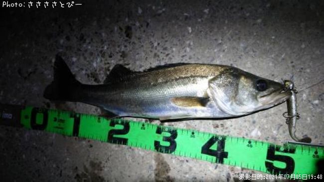 �����Х�