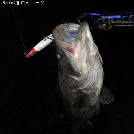 �����Х�