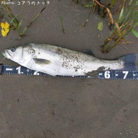 �����Х�