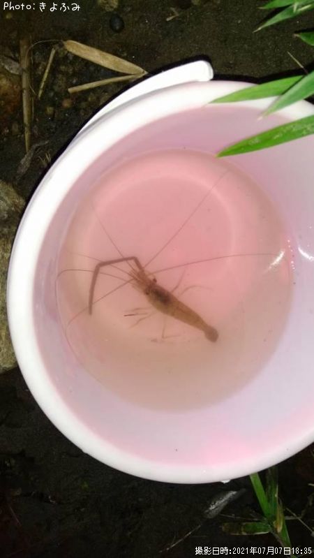 �ƥʥ�����