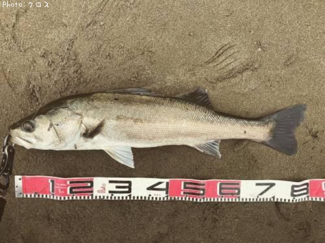 �����Х�