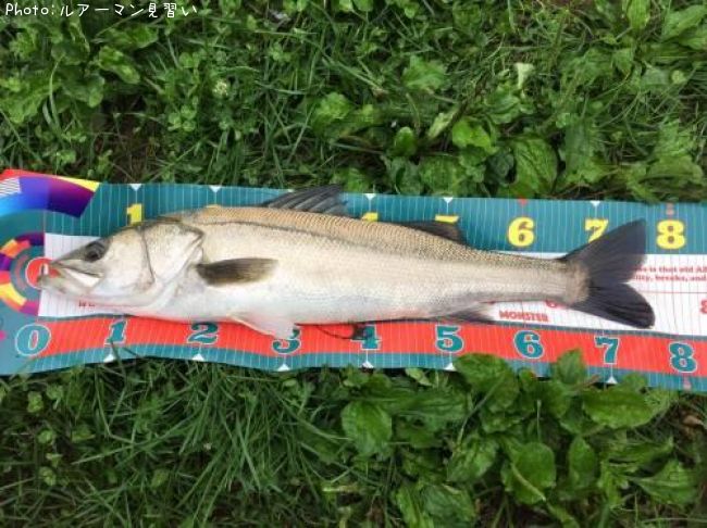 �����Х�