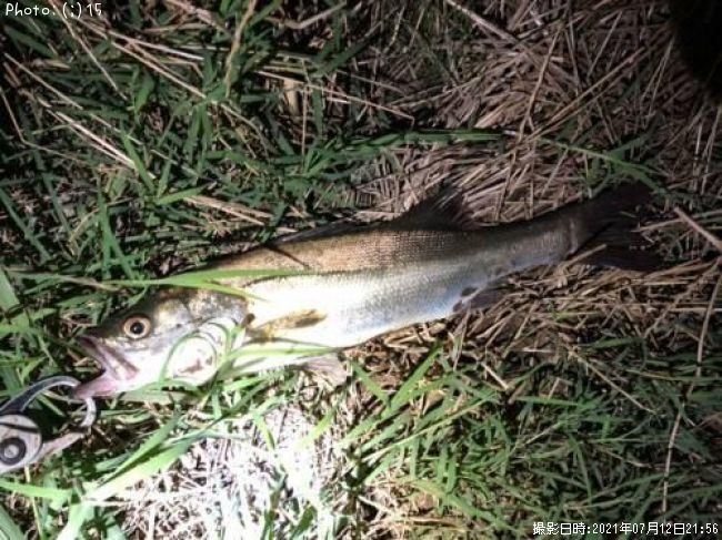 �����Х�