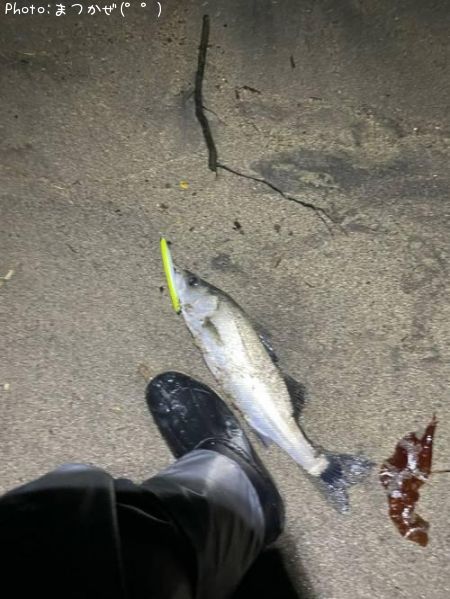 �����Х�