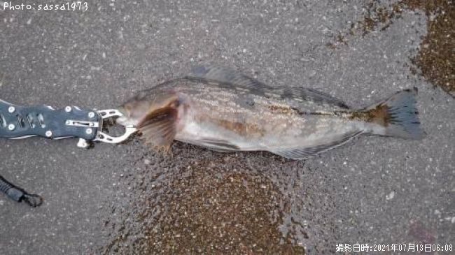 �����ʥ�