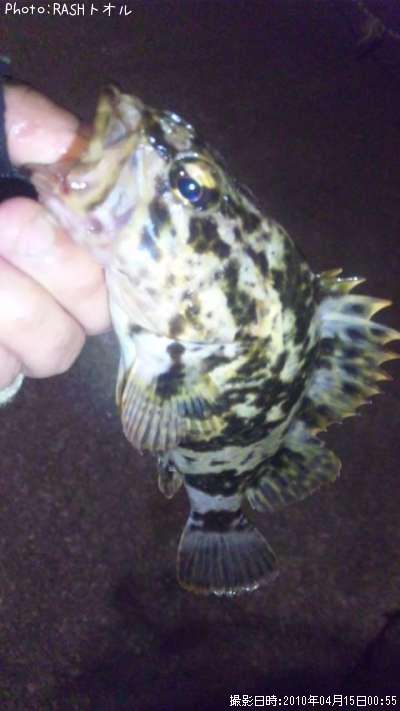 �����Υ���Х�