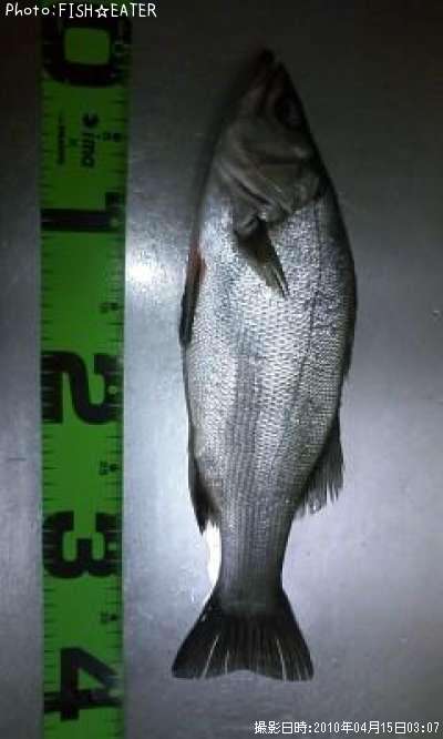 �ҥ饹����