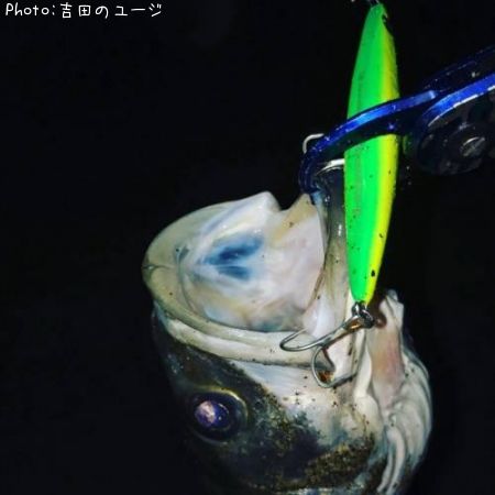 �����Х�