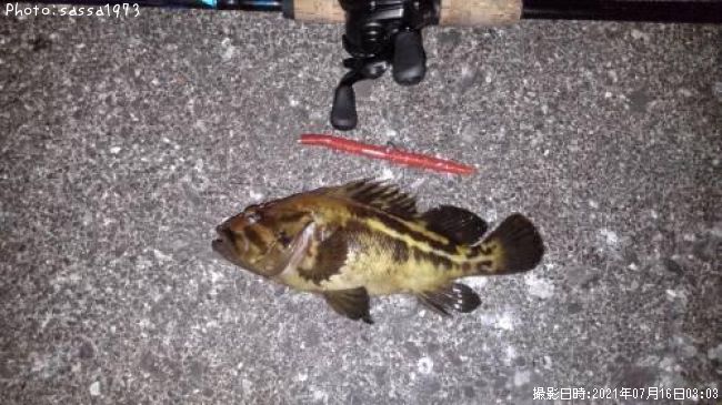 ���ޥ���