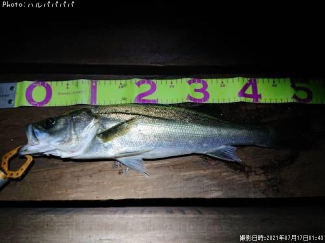 �����Х�