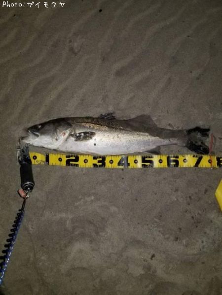 �����Х�