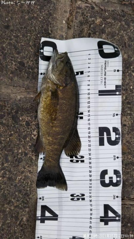 ���⡼��ޥ���