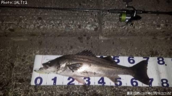 �����Х�