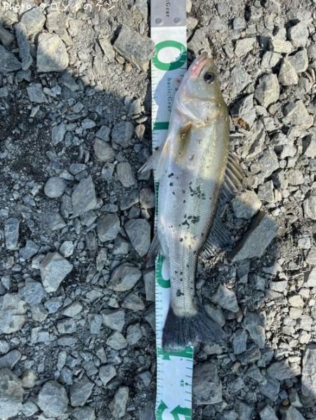 �����Х��ʥեå���