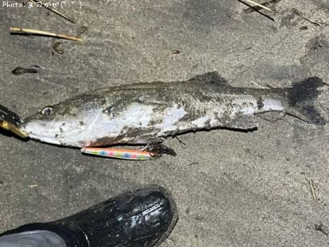 �����Х�