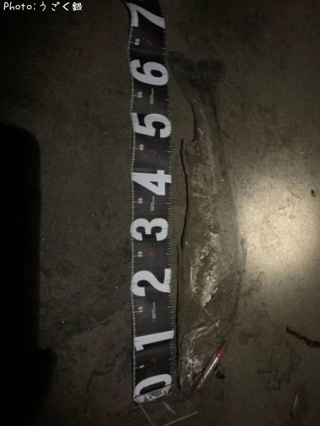 �����Х�