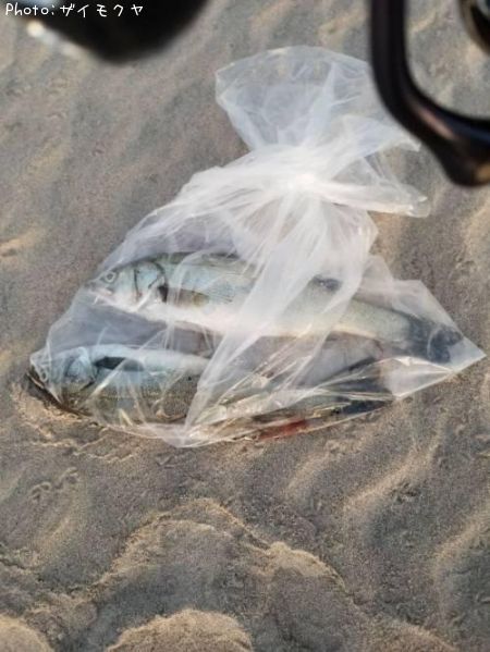 �����Х�