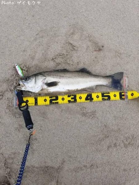 �����Х�