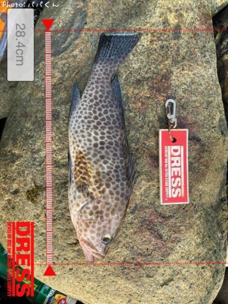 �������ϥ�