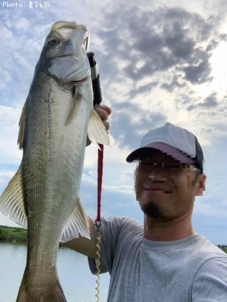 �����Х�