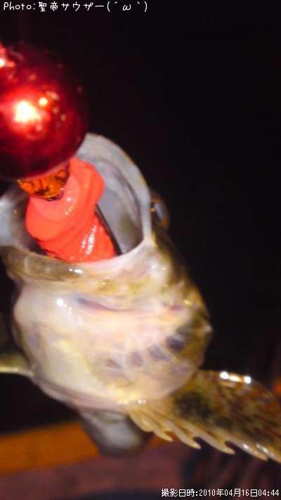 �ϥ�