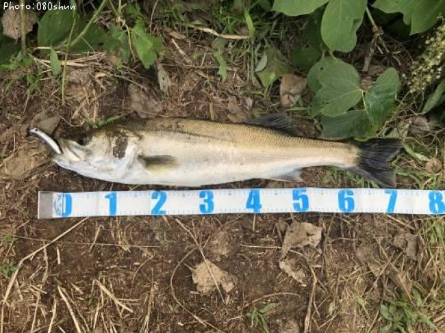 �����Х�