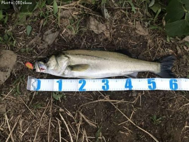 �����Х�