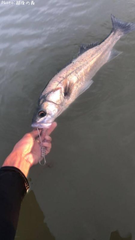 �����Х�