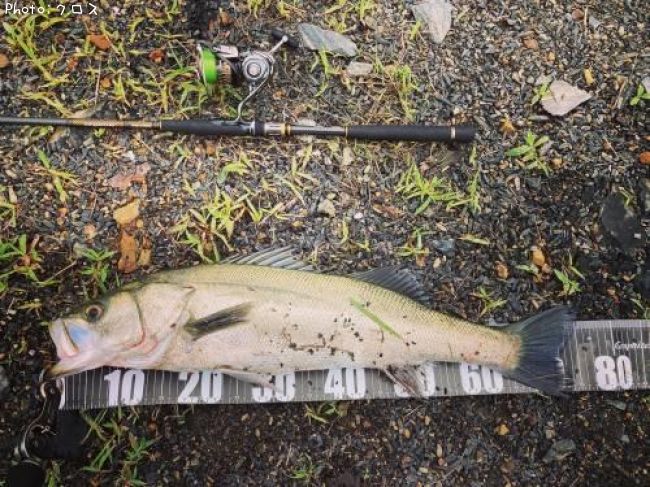 �����Х�