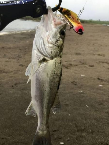 �����Х�