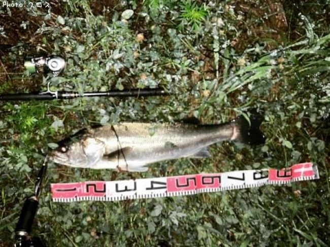 �����Х�