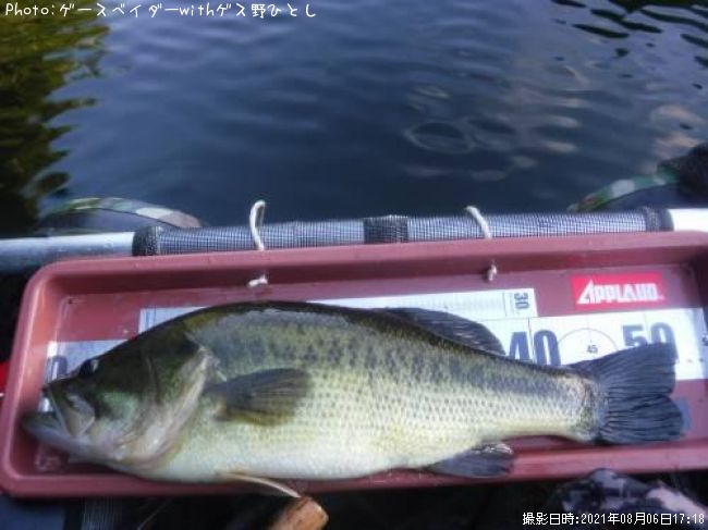 �֥�å��Х�