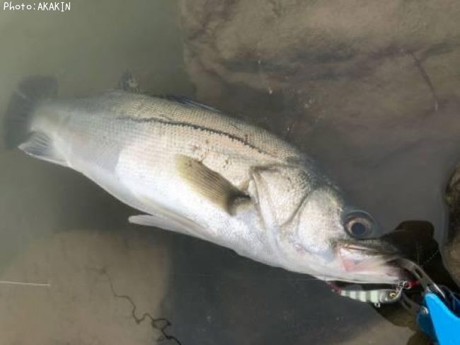 �����Х�