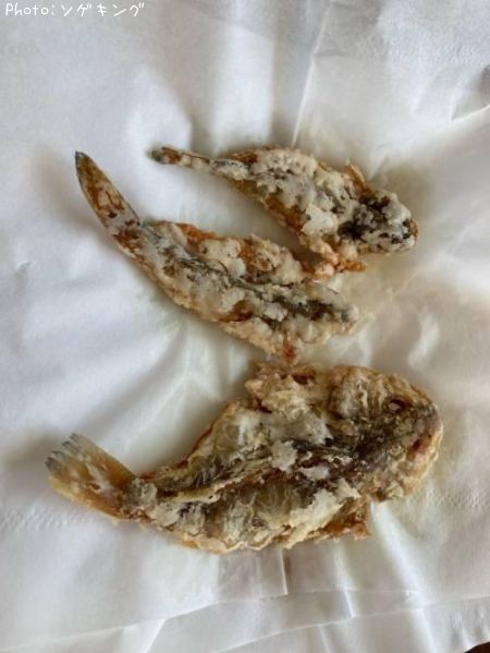 �ϥ����������