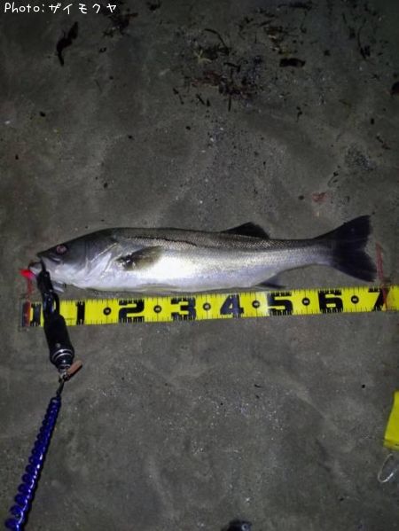 �����Х�